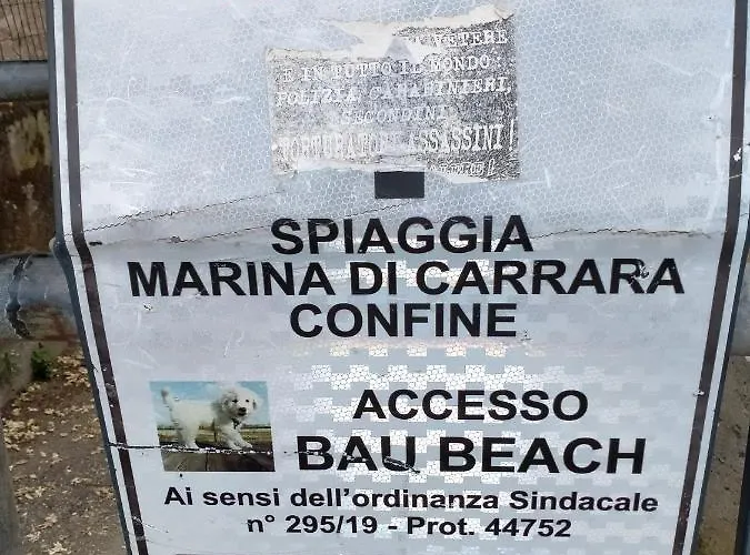 B&blavenza Carrara